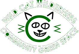 Wildcat Wilderness