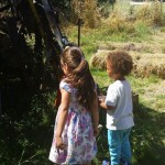 20150809_123954-Optimized